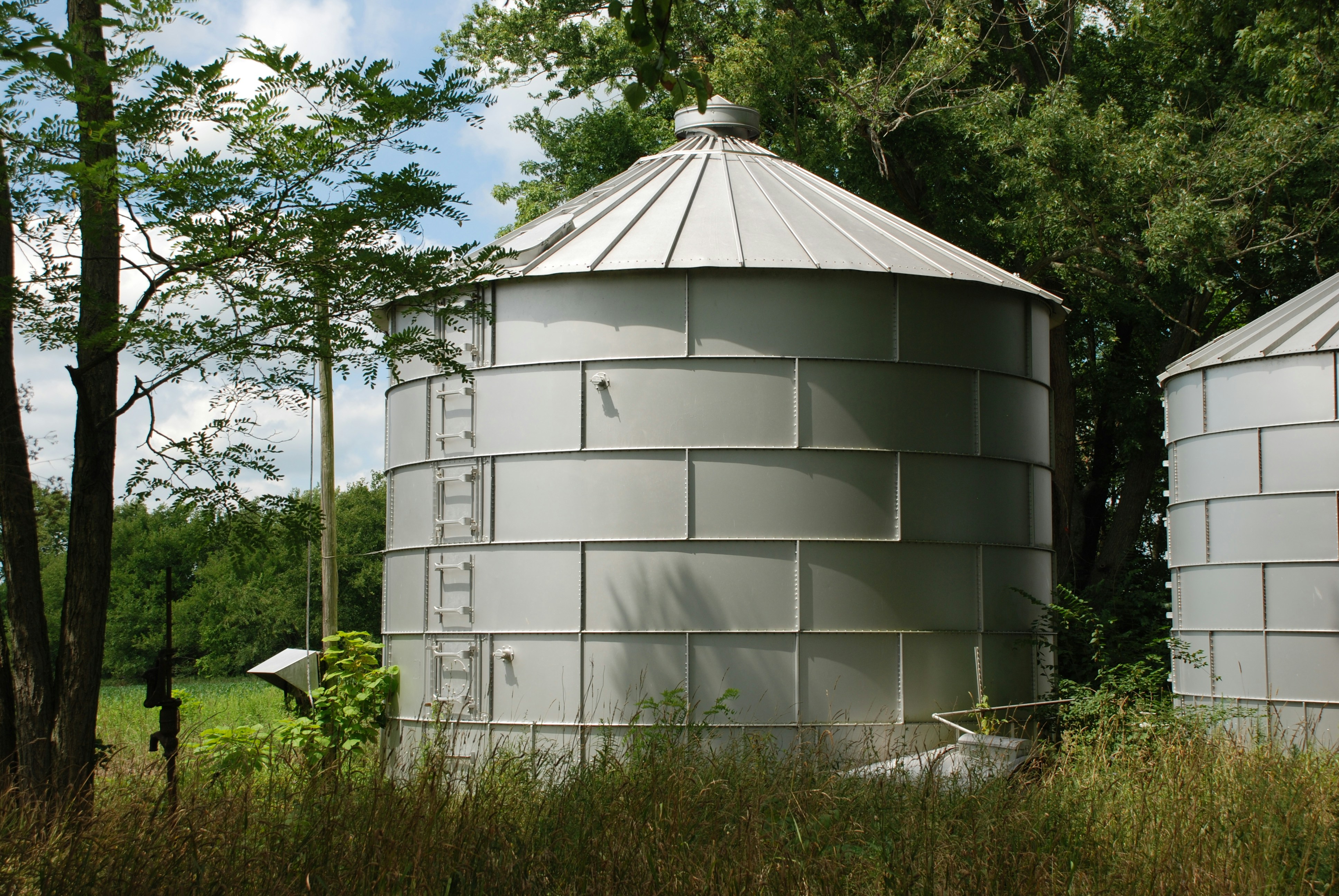 Protecting Zambia’s Forests by Teaching Through Clean Energy