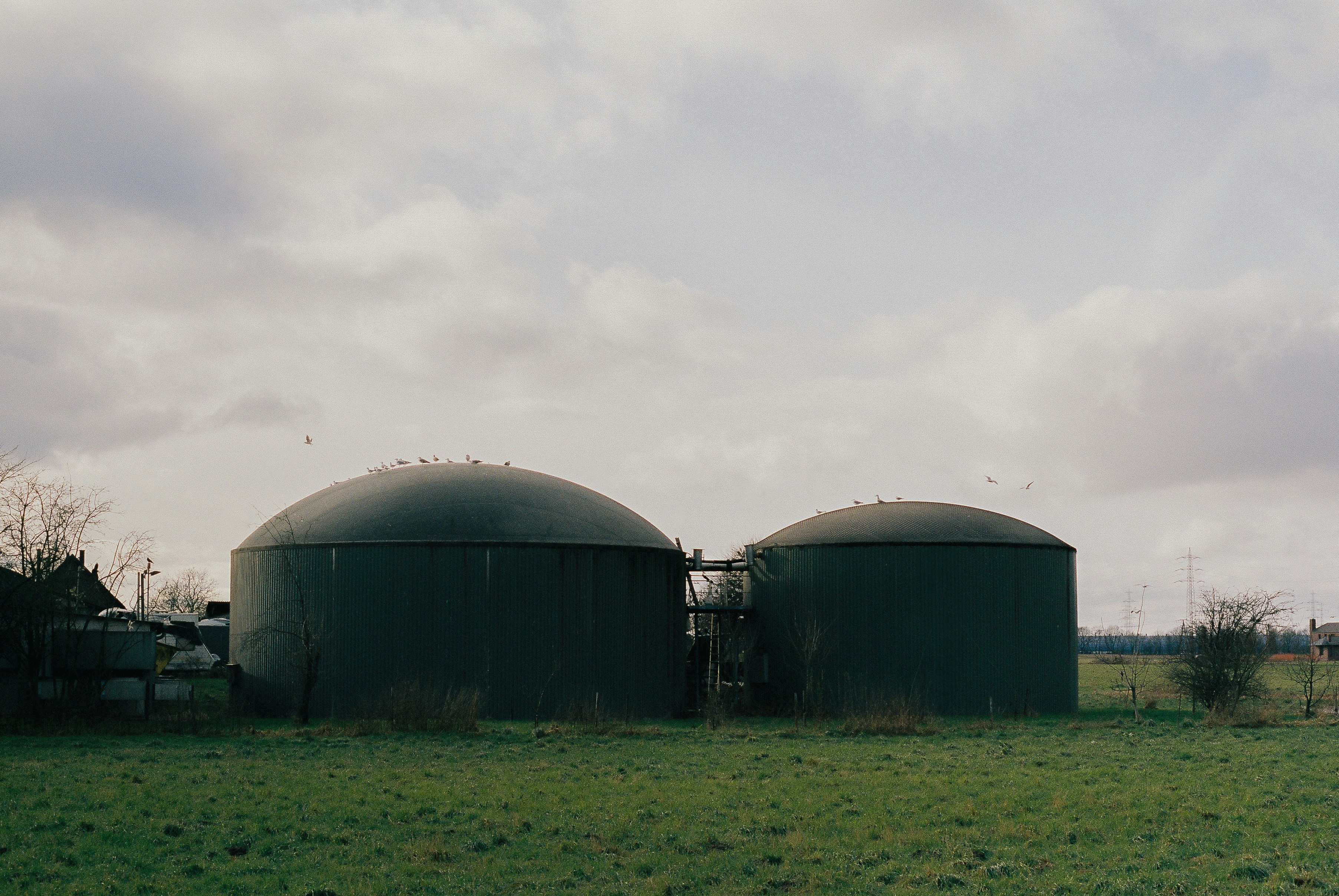 From Waste to Wisdom: Empowering Indian Schools Through Biogas Innovation